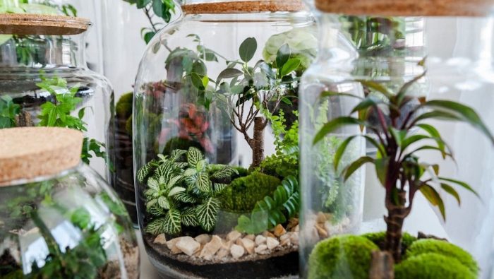 Terranium-2035828780